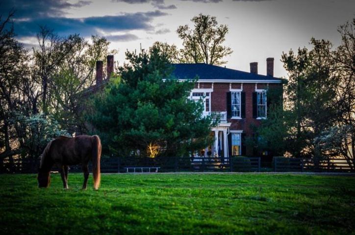 Maple Hill Manor Bed & Breakfast Bed & Breakfast Springfield Exterior photo